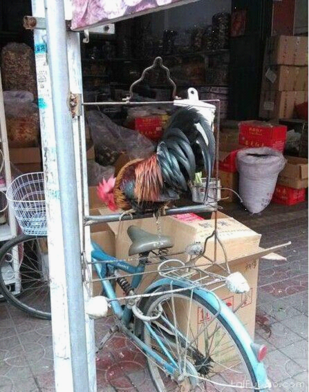 我们都是深井冰