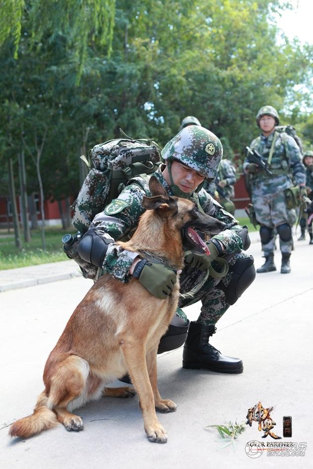 《神犬奇兵》曝精彩剧照 萌犬变神犬英姿飒爽