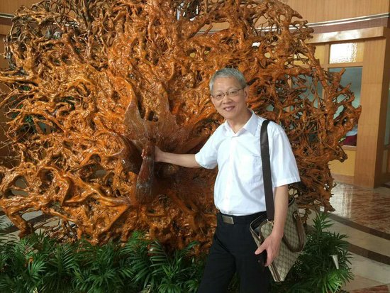 第三场导师惊艳亮相 你最爱哪种Style_房产-安庆