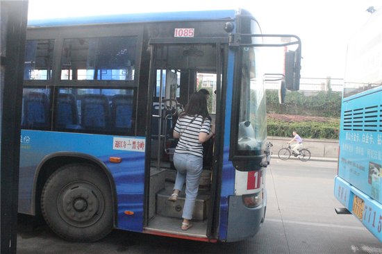 8647337.jpg