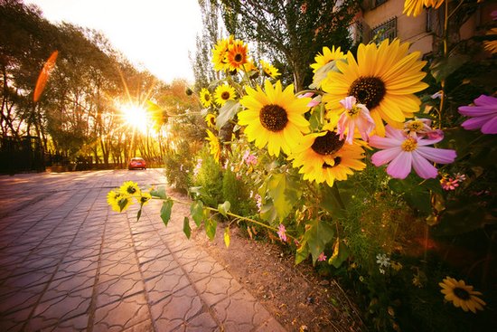 感受自然最佳居所 梦寐以求寻找心灵的家_房产