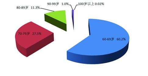 老年人口现状_研究报告 行业分析报告 市场调研 行业研究分析报告 发现数据价(2)