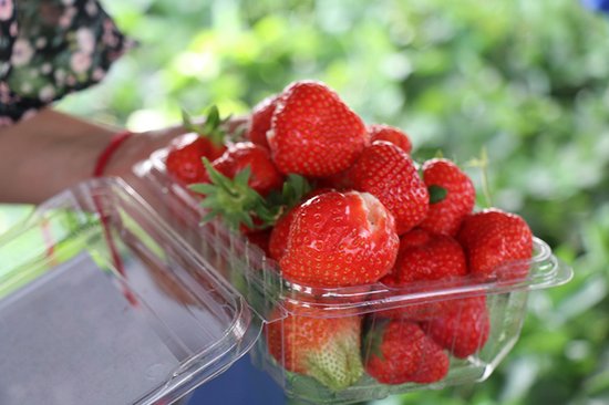 草莓是什么样的好吃 9903502.jpg