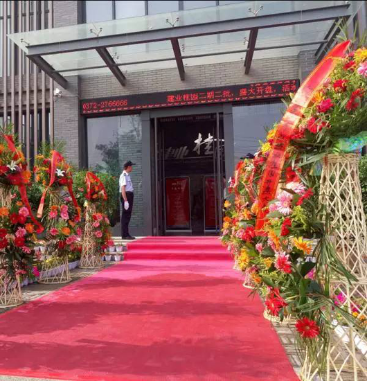 建业桂园二期二批空中庭院开盘热销,再一次香