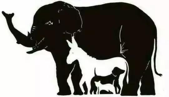 最多能看到几种动物