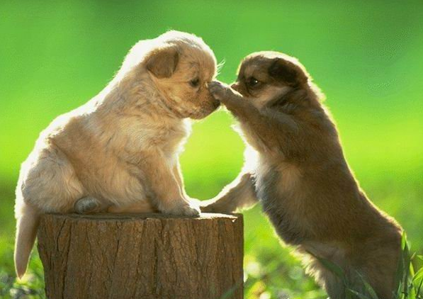 十二星座的相处之道_星座_腾讯网