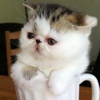 第62期:我恨我是水瓶座_星座控_腾讯星座