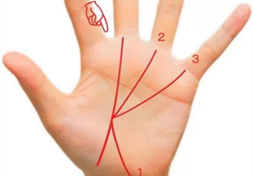 能被宠爱一生的手纹