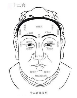 面相12宫看富贵吉凶