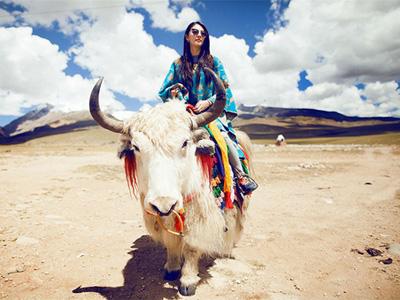 嫁错郎的血型星座女_星座_腾讯网