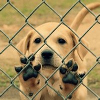 第31期:对<em>处女座</em>的终极吐槽_星座控_腾讯星座