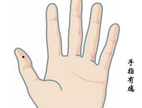 人的手指大拇指代表父辈祖辈,领导,食指代表兄弟姐妹,无名指指配偶