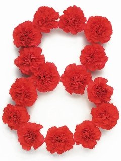 灵数测2014事业运势_星座_腾讯网