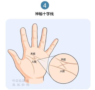 在中指之下,天纹和人纹之间的叉状纹,西方手相学称之为神秘十字线,也