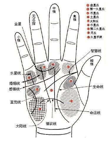 手相看你的富贵程度