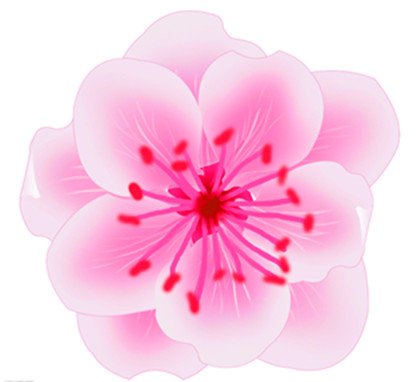 蛇年哪些方位旺桃花