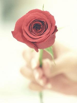 从世界杯看透你爱情