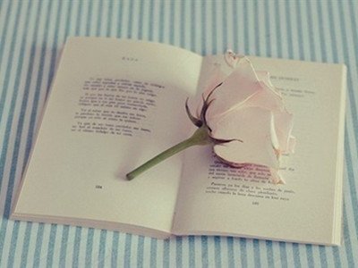 你的爱情观进化笔记