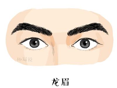 这种眉毛的男人好命