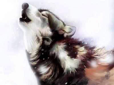 杀破狼一周星座运势