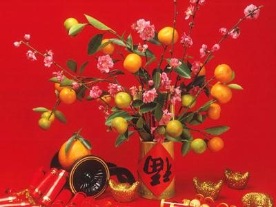 2015哪些生肖会转运