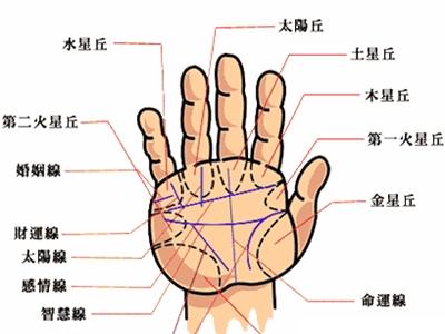 皇帝的手相是怎样的