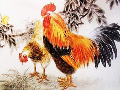 12生肖鸡年运势排行