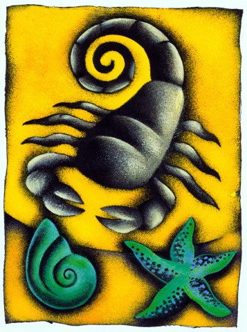 秦瑜12星座一周运势