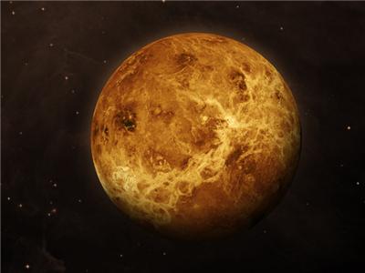 深度解析82128212金星