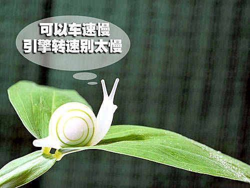 警惕驾驶误区 不要因为省油而毁了爱车