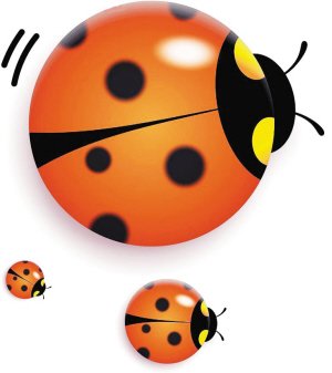 堵车不堵心 汽车成现代人生活第三地