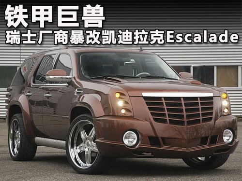 ʿ̱ĿEscalade ׾