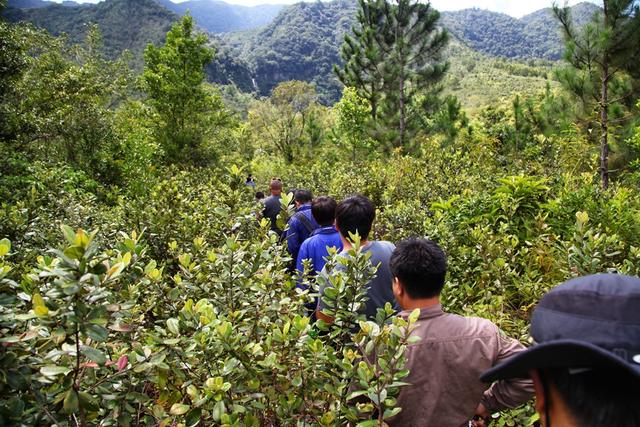 集体徒步进山 集体徒步穿越草甸、针叶林地、灌木丛、热带雨林的碎石及河谷等崎岖道路,感受保护区工作人员的日常。正常的2公里不算什么,但是保护区的这两公里我们走了1个小时,路窄,各种障碍,各种小动物,尤其是一种叫山蚂蝗的小动物,超级喜欢吸血,就算全副武装也逃不过,它会跳会爬,全员基本都受到了它热情招待。