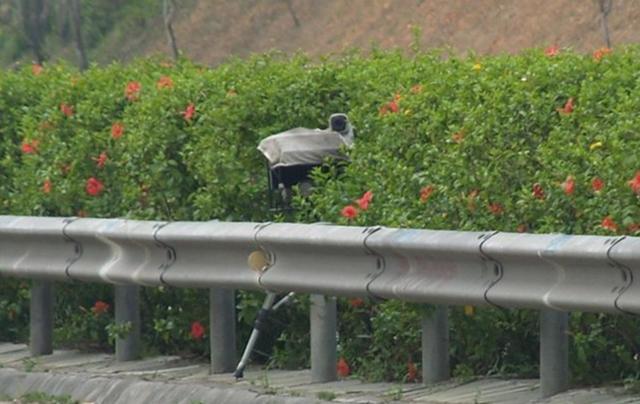 被大车挡住闯了红灯咋办 五大最冤的违章行为