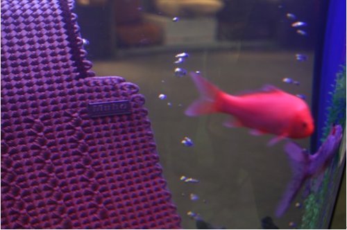 牧宝汽车坐垫雅森车展 展出环保新标准