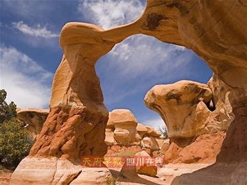 TIGUAN途观 引领SUV再度进化