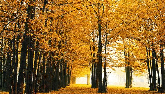 你确定能玩转自驾游 CX-7告诉你如何尽兴