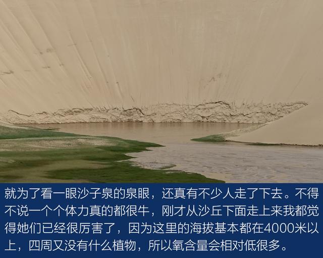 上得雪山和沙漠、下得草原和沼泽与牧游侠一道穿越阿尔金山