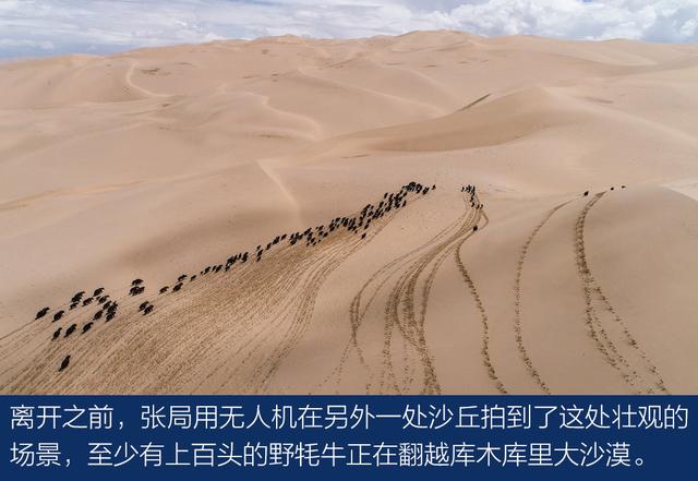 上得雪山和沙漠、下得草原和沼泽与牧游侠一道穿越阿尔金山