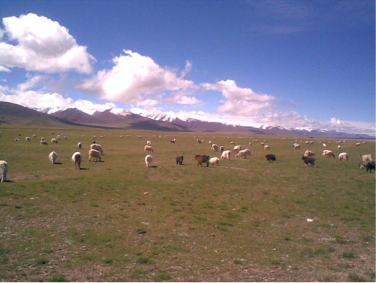 1052专列 西藏幸福之旅沿途风光