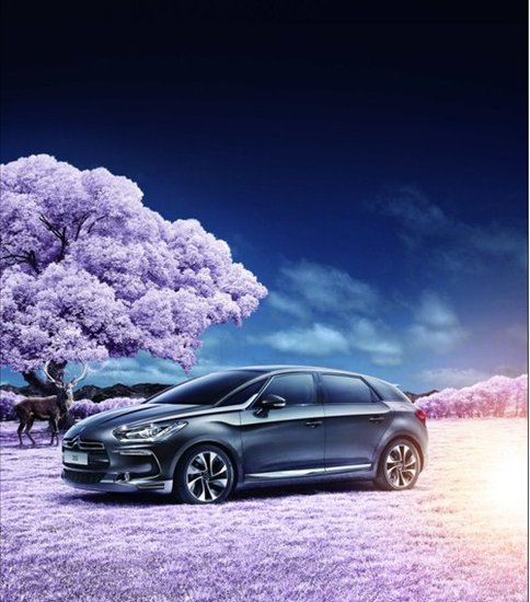 法国汽车品牌 博瑞祥宇DS STORE盛大揭幕