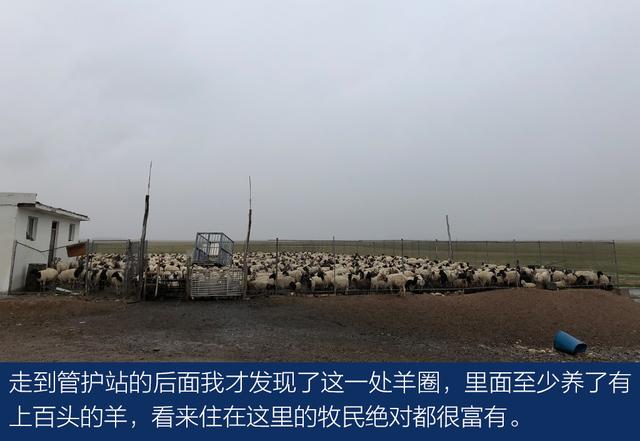 上得雪山和沙漠、下得草原和沼泽与牧游侠一道穿越阿尔金山
