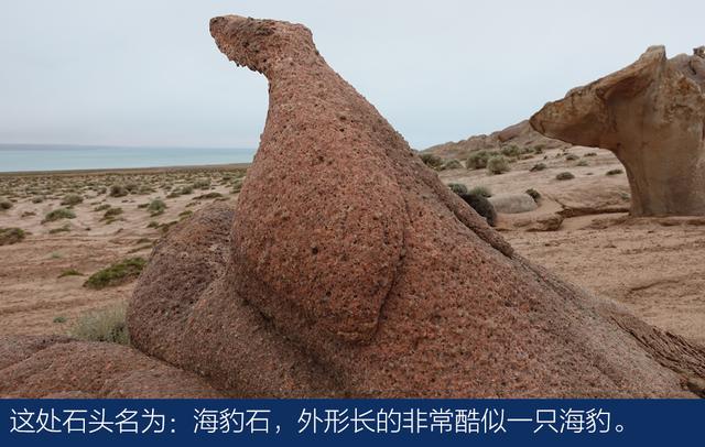 上得雪山和沙漠、下得草原和沼泽与牧游侠一道穿越阿尔金山