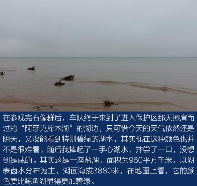 上得雪山和沙漠、下得草原和沼泽与牧游侠一道穿越阿尔金山