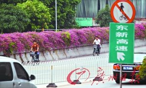 非机动车违法行为专项整治 逆行可罚50元