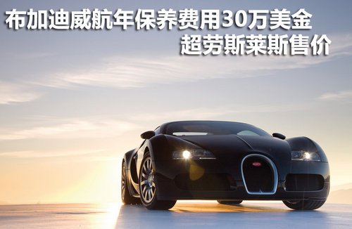 布加迪养不起 年保养费用超劳斯莱斯售价