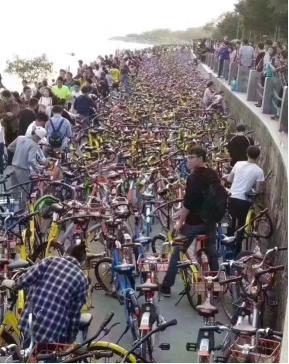 车圈:众泰预售价40万新车里居然有根不可描述的东西