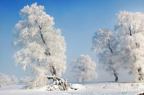 2012年度中国自驾游路线评选-雪域之旅