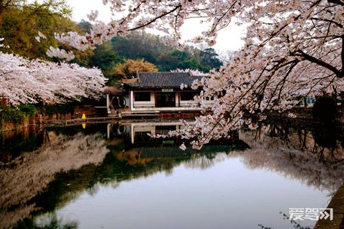 2012年度中国自驾游路线-太湖明珠无锡