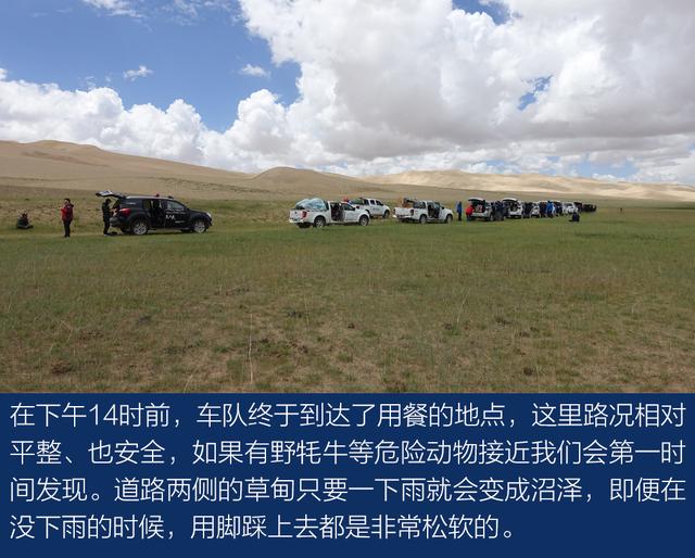 上得雪山和沙漠、下得草原和沼泽与牧游侠一道穿越阿尔金山